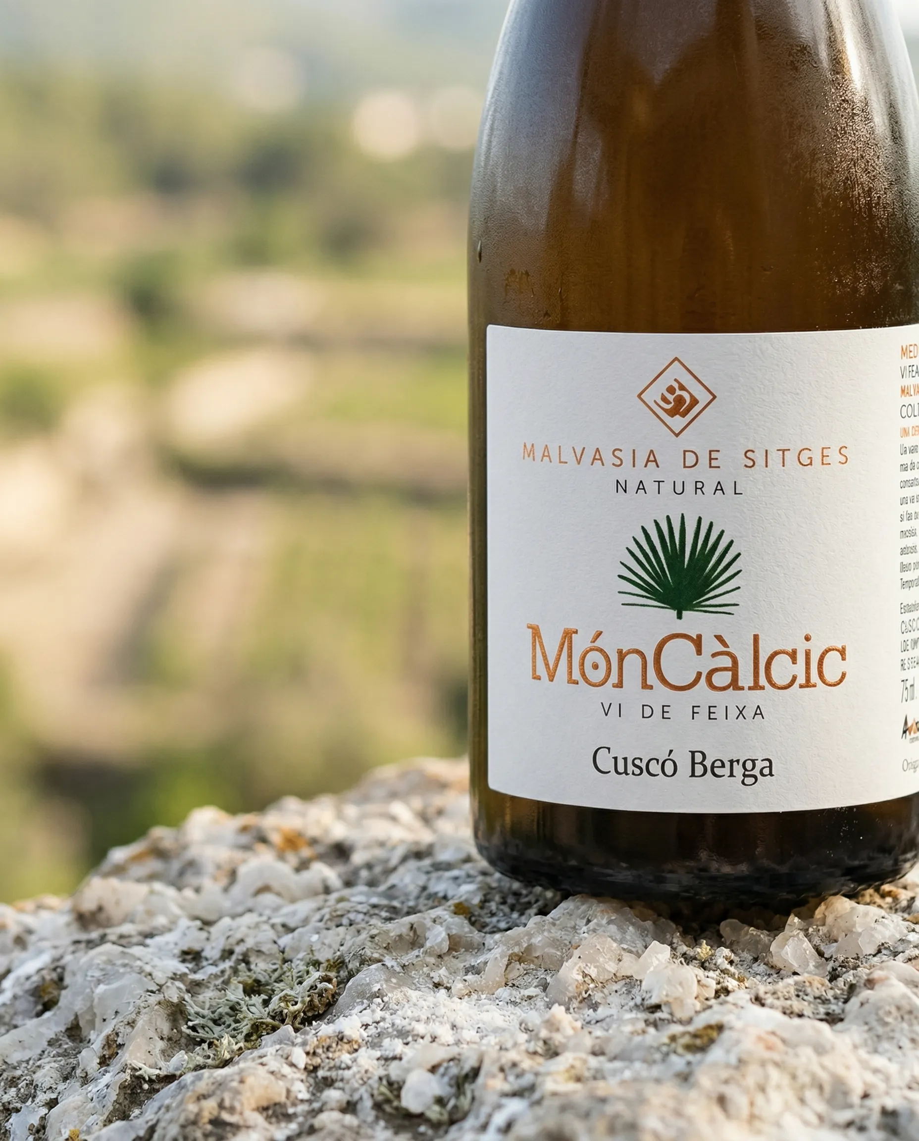 Cusco Berga - Imagen campaña 15